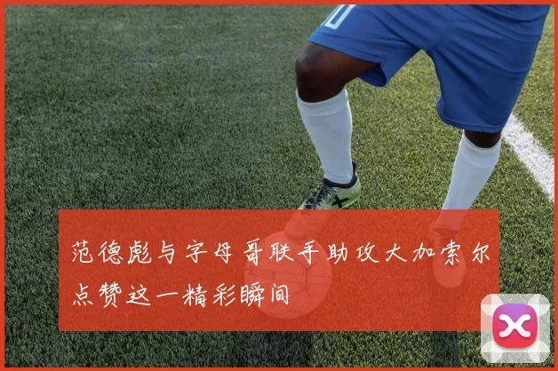 范德彪与字母哥联手助攻大加索尔点赞这一精彩瞬间