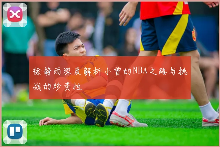 徐静雨深度解析小曾的NBA之路与挑战的珍贵性
