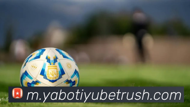 App Interface Preview