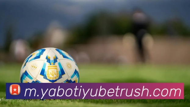 亚博体育APP 封面图